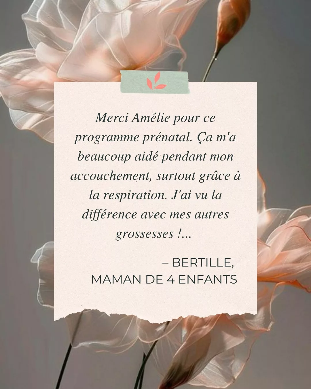 🌸 Merci à Bertille et à vous toutes futures mamans qui m’accordez votre confiance avec Grossesse en Or 💛
Si tu veux toi aussi t’accorder du temps pour toi en attendant bébé 👶 et gagner confiance pour aborder ta grossesse et ton accouchement avec sérénité
➡️ mon programme Grossesse en or est maintenant disponible en
🧘♀️ Abonnement pour 29€/mois
🎁 avec 7 jours d’essai gratuits
🥳 et résiliable quand tu veux
➡️ Découvre l’abonnement via le lien en bio.
Et si tu as des questions sur mon accompagnement et mes cours, n’hésite pas m’écrire en privé 📩
À très vite !
Amélie
#temoignageclient #grossessezen #pilatesprenatal #pilatesfr #pilates #pilateslife #pilateslovers #vivrelepilates #prenatalworkout #postnatal #postpartum #grossesseenor #grossesse #pregnancy #grossesseenforme #grossesseheureuse #mumtobe #futuremaman #pilatesgrossesse